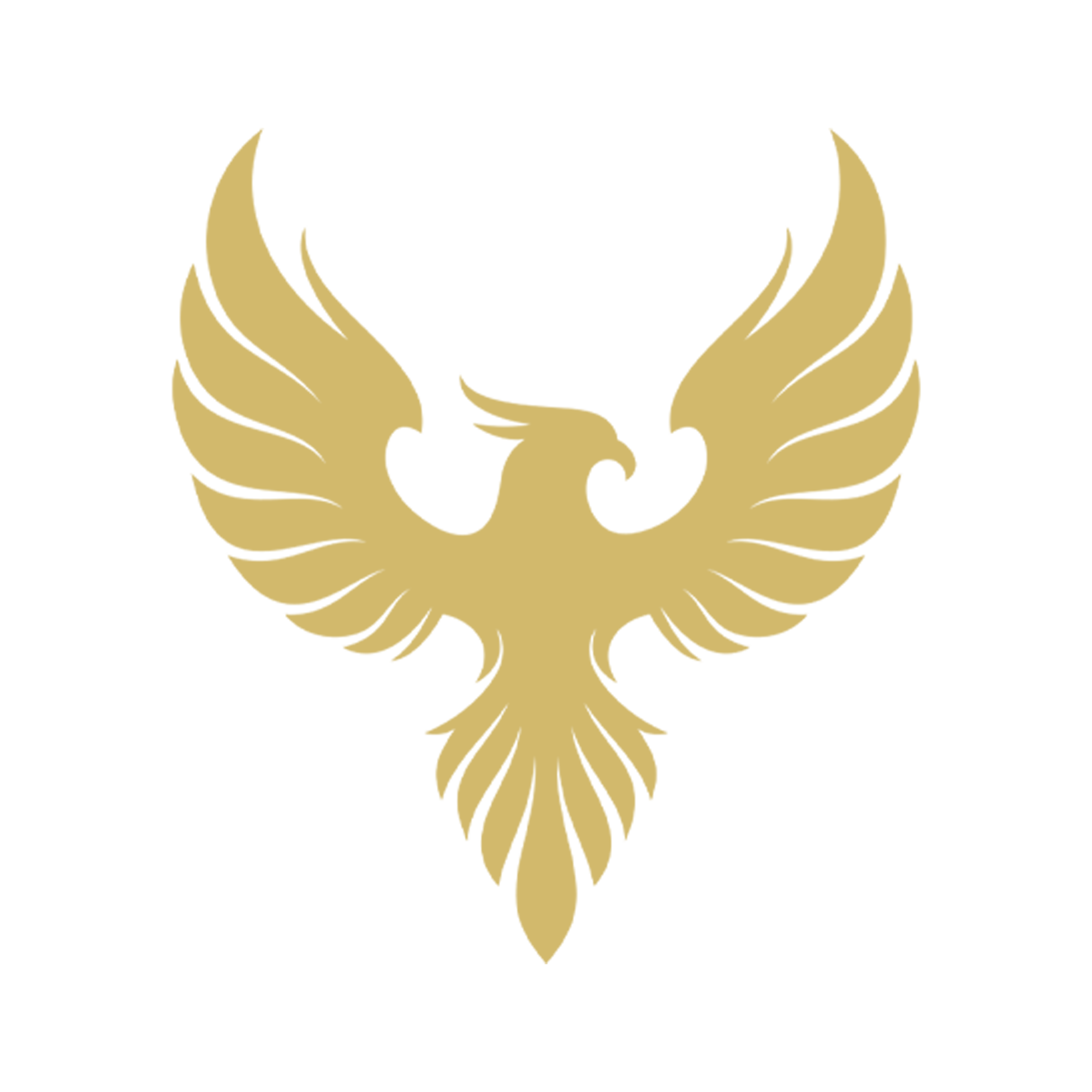 ANKA Logo